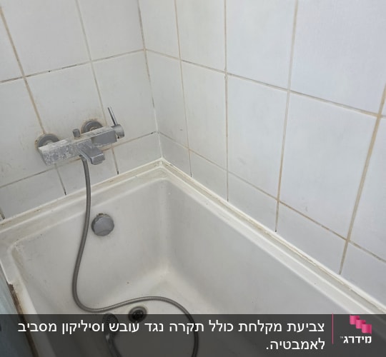 אמבטיה עם ברז ומקלחת יד